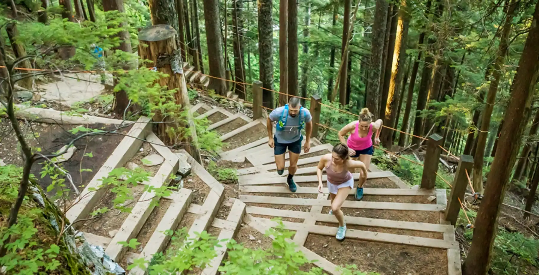 Hikers ascending a forest trail with wooden stairs in Vancouver.