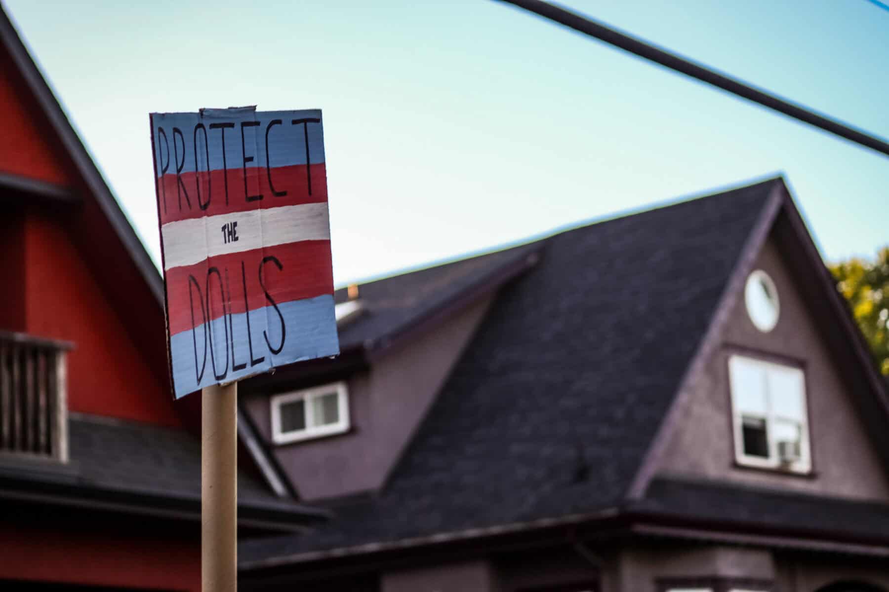 Protest sign reading 'Protect the Dulos' held in front of residential houses.